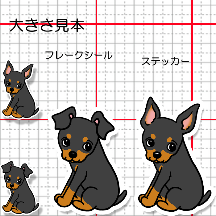 こっちを見ているミニピンちゃん。113-16