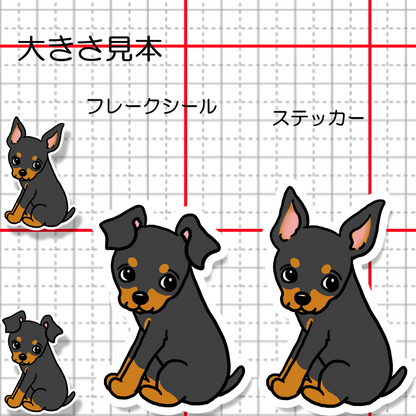 こっちを見ているミニピンちゃん。113-16