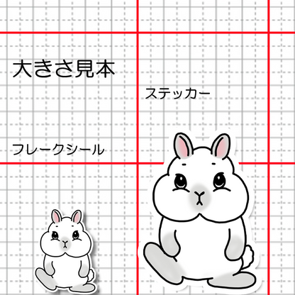 見つめるネザーランドドワーフちゃん。185-3