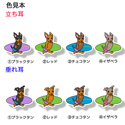 サーファーミニピンちゃん。113-9