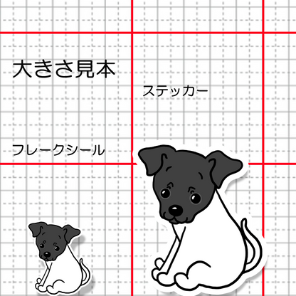 おすわりしてるニホンテリアちゃん。71-3