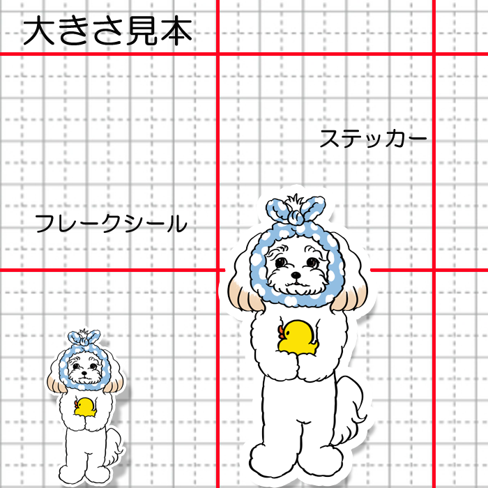 お風呂上がりのマルプーちゃん。111-12