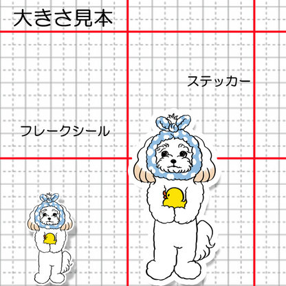 お風呂上がりのマルプーちゃん。111-12