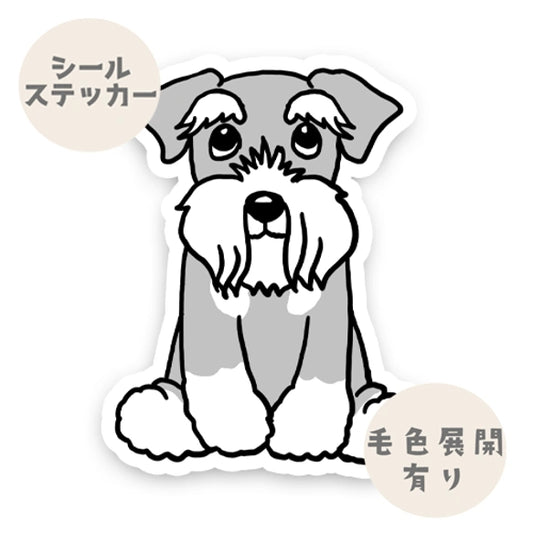 おすわりしてるシュナウザーちゃん。44-2