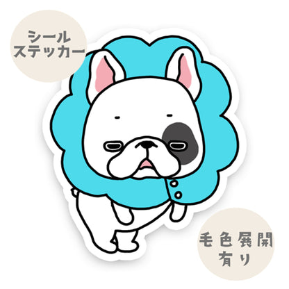 エリザベスカラーが嫌なフレブルちゃん。96−348