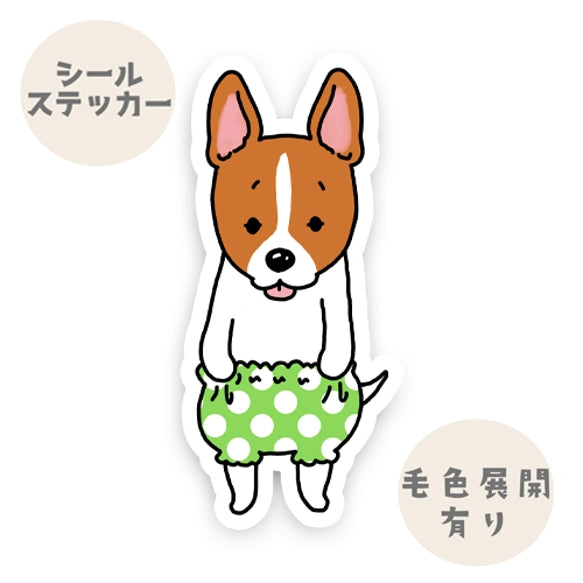 おパンツ立ち耳ジャックラッセルちゃん。43-11