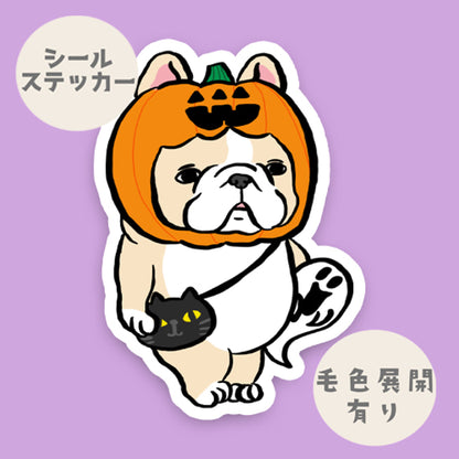 トリックオアトリートに緊張してるフレブルちゃん。96−327