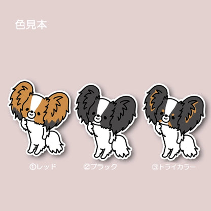 えっとねって言ってるパピヨンちゃん。80-