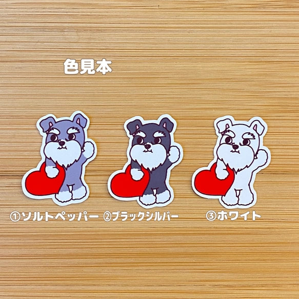 おおきなハートを届けにきたシュナウザーちゃん。44-20