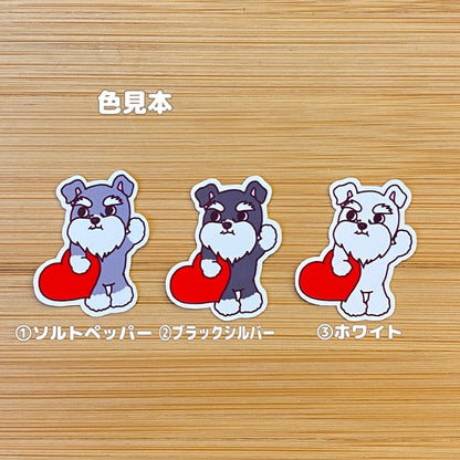 おおきなハートを届けにきたシュナウザーちゃん。44-20