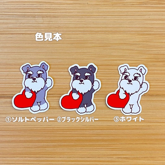 おおきなハートを届けにきたシュナウザーちゃん。44-20