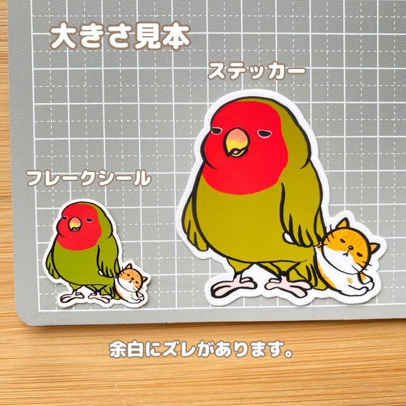 そろそろ眠いコザクラインコちゃん。