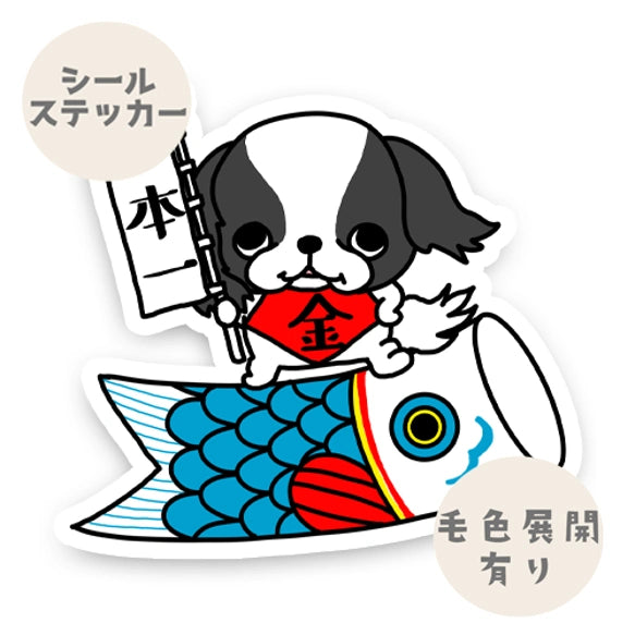 端午の節句の狆ちゃん。66-11