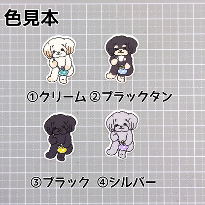 おでかけチワプーちゃん。61-2