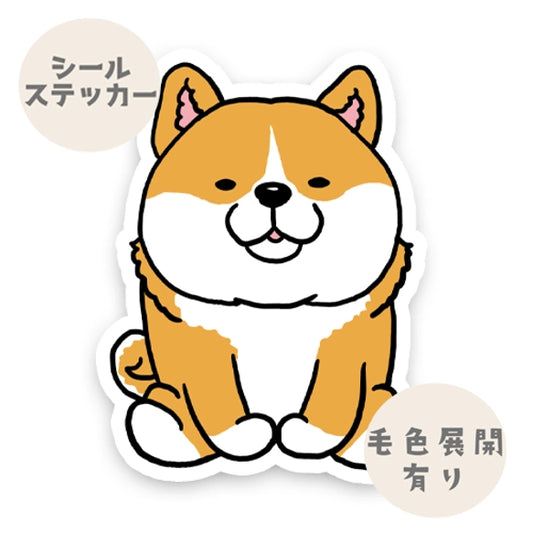 おすわりしてるシバちゃん。39-2