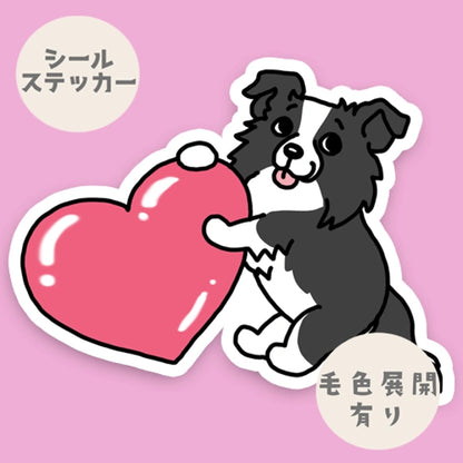 ハートを届けたいボーダーコリーちゃん。106-