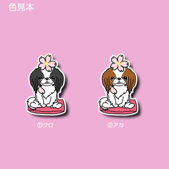 狆ちゃんの春のご挨拶。66-16