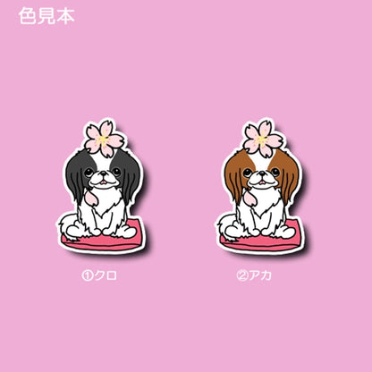 狆ちゃんの春のご挨拶。66-16