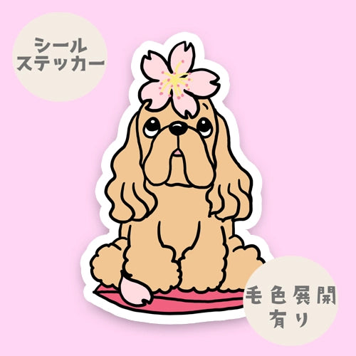 アメコカちゃんの春のご挨拶。5-16