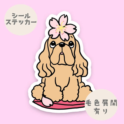 アメコカちゃんの春のご挨拶。5-16