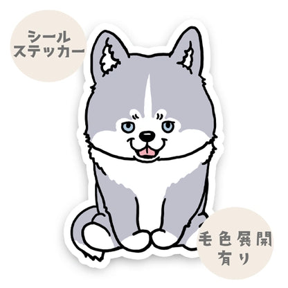 おすわりしてるハスキーさん。40-2
