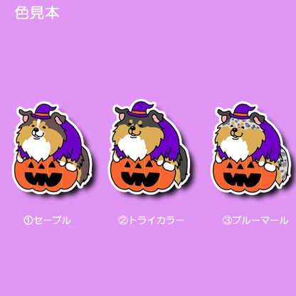 オバケカボチャとシェルティちゃん。38-4