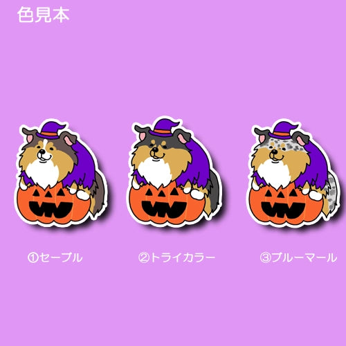 オバケカボチャとシェルティちゃん。38-4