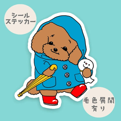 晴れてほしいプードルちゃん。87-
