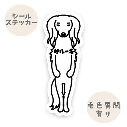 サルーキ。34-1