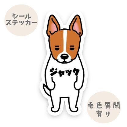 立ち耳ジャック。43-2