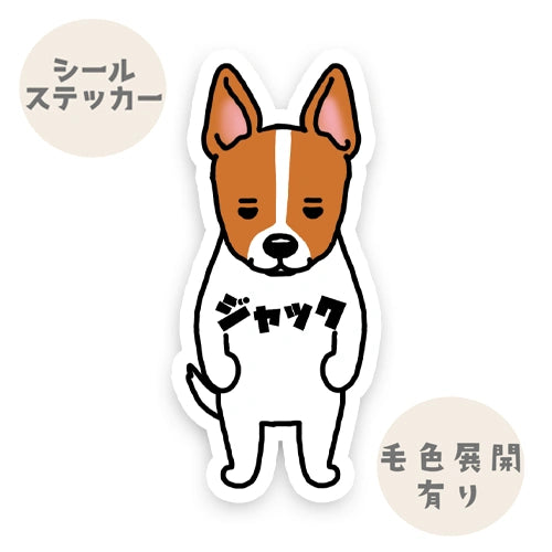 立ち耳ジャック。43-2