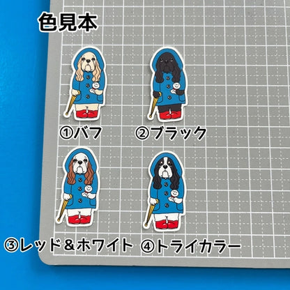 晴れてほしいアメコカちゃん。5-19
