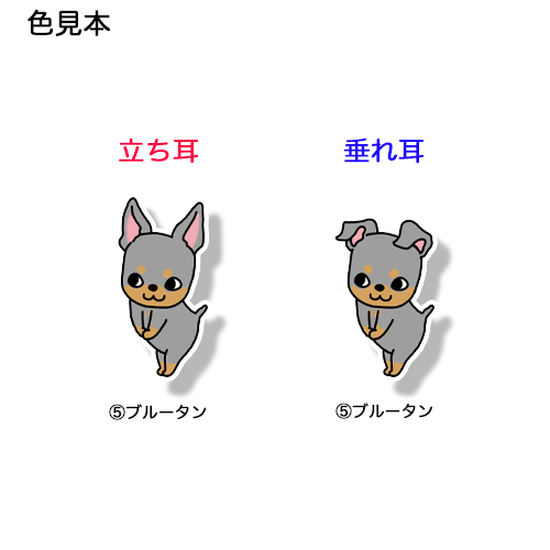 ごあいさつのミニピンちゃん。113-2