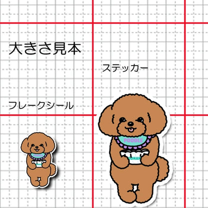 ごはんくださいな～って言ってるプードルちゃん。87-