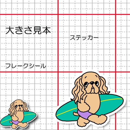 サーファーアメコカちゃん。5-22