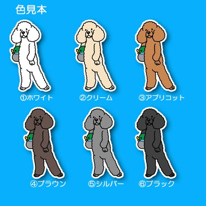 待ってるプードルちゃん。127-