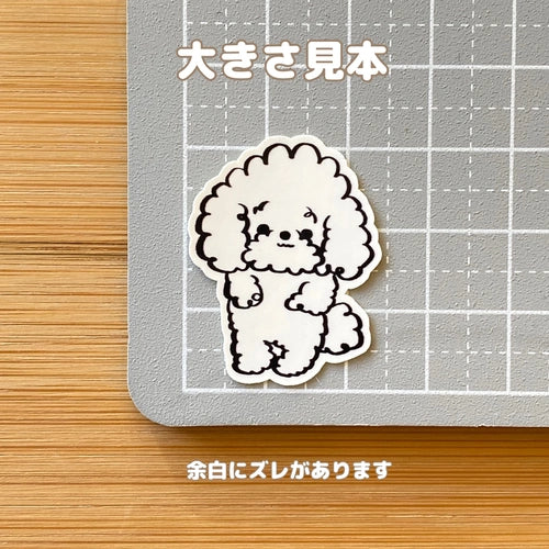 くるるんプードルちゃん。87-