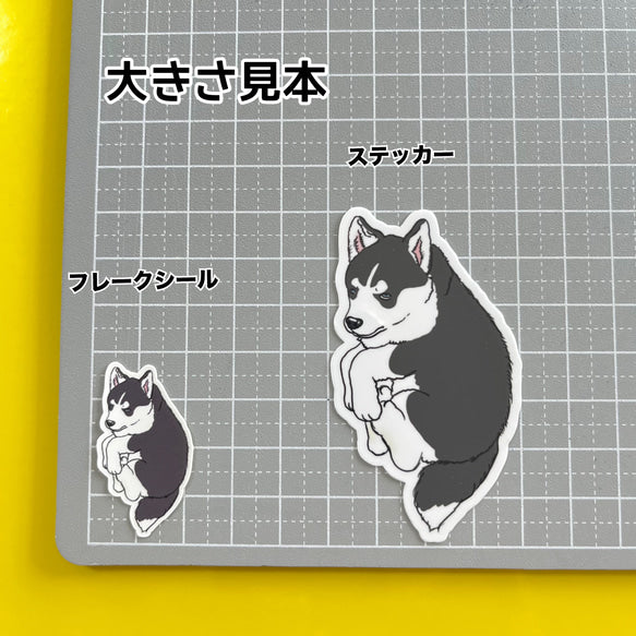 だっこされてるハスキーちゃん。40-3