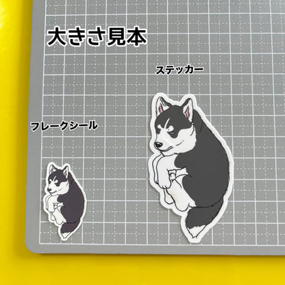 だっこされてるハスキーちゃん。40-3