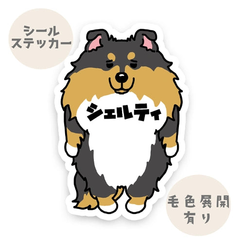 シェルティ。38-1