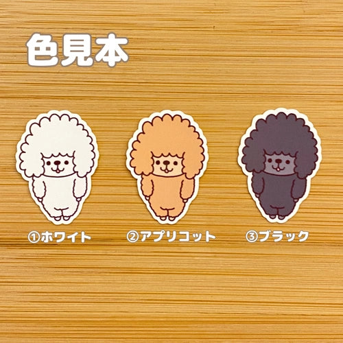 もふもふプードルちゃん。128-