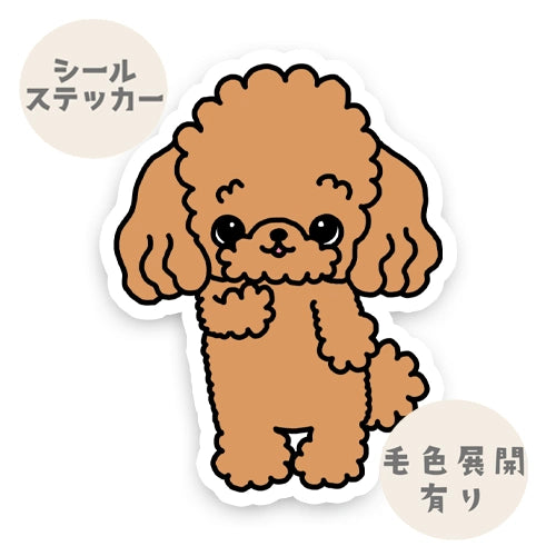 キュートプードルちゃん。87-