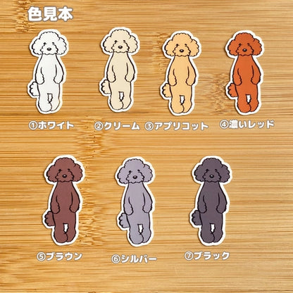 たたずむプードルちゃん。127-