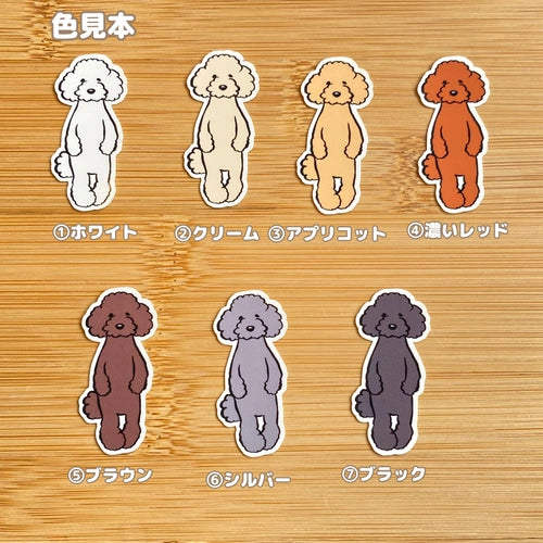 たたずむプードルちゃん。127-