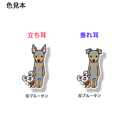 いい子でお留守番してるミニピンちゃん。113-6