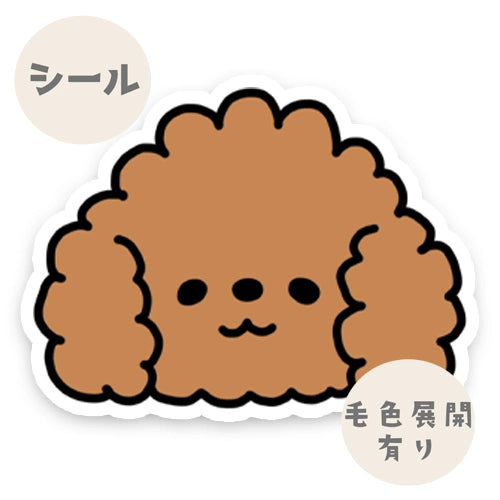 プードルちゃんのおカオ。87-