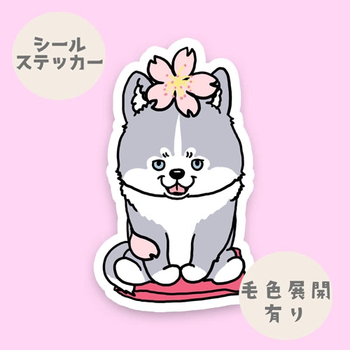 ハスキーさんの春のご挨拶。40-5