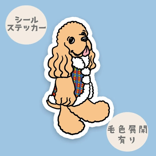 冬のおしゃれなアメコカちゃん。5-24