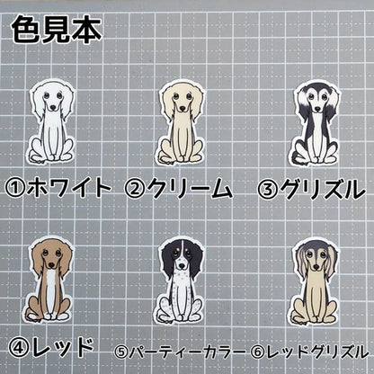 おすわりしてるサルーキさん。34-2