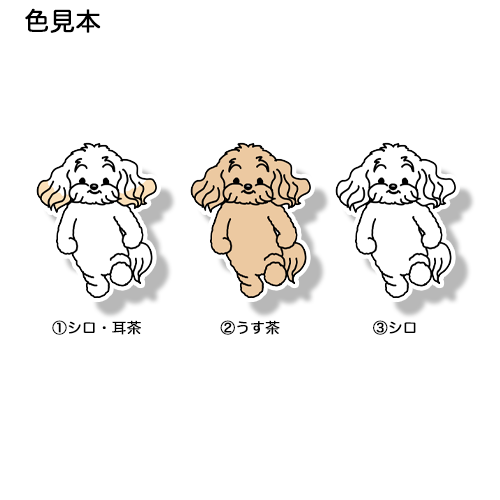 うきうきマルプーちゃん。111-3